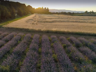 image drone pour TF1 reportage